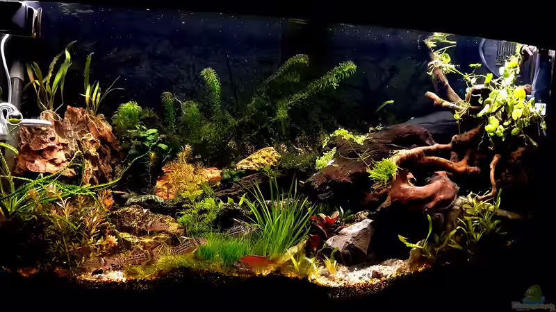 Nur mit der Front Beleuchtung von Sven Schaefer (7)