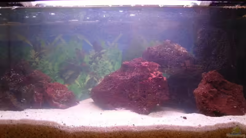 Nur mit Lavasteinen und Technik von Pino D. (2)