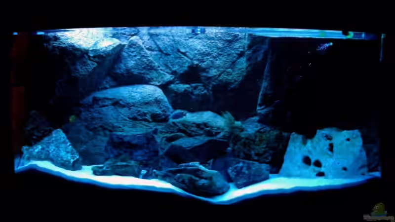 Nur mit Marine Glo von Vladi (9)