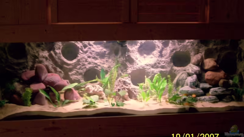 Nur mit Pflanzenlicht beleuchtet!