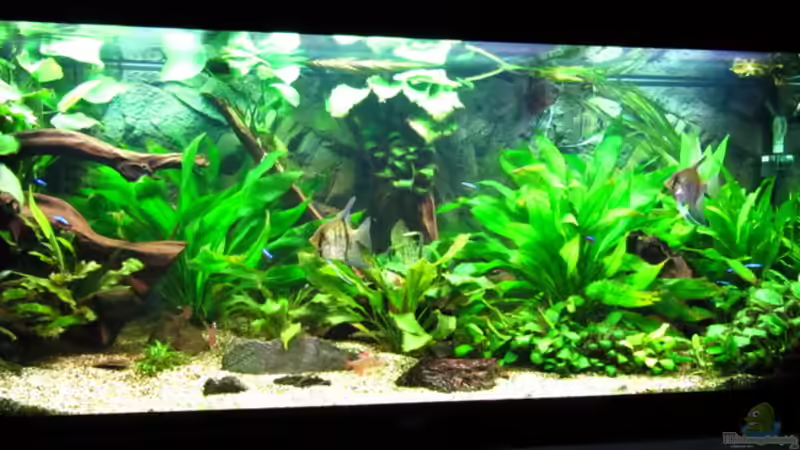 nur noch Beispiel von Sarah (1)