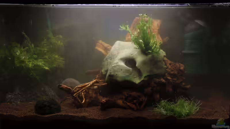 nur noch ein Stein :) von isabelle... (4)