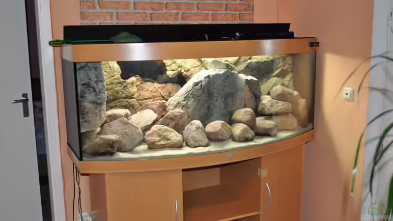 Nur noch Wasser rein und fertig! von Vladi (28)