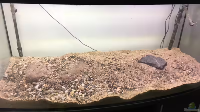 Nur Sand und Steine  von LaTun (2)