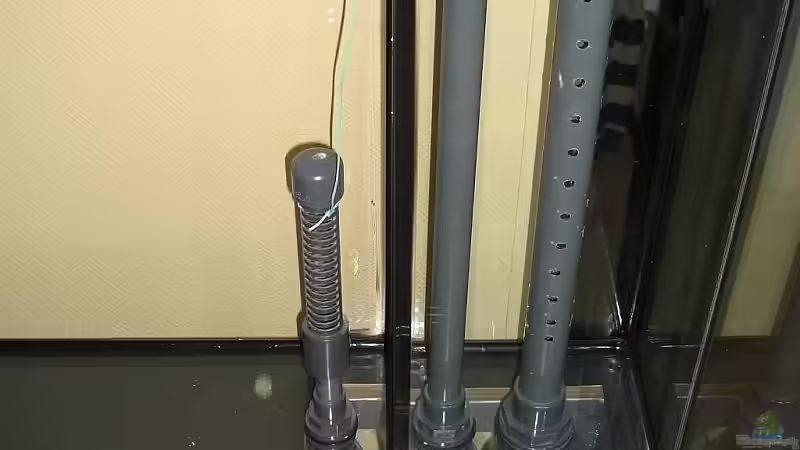 Nylonschnur an Wasserwechsel- und Aquariumfüllrohr gebunden, um es bei der evtl. von Matoba (14)