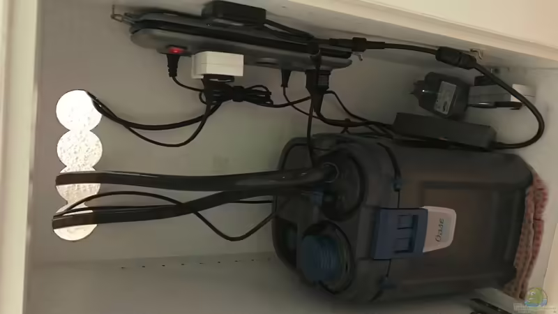 Oase Biomaster 250 von Der Nicky (38)