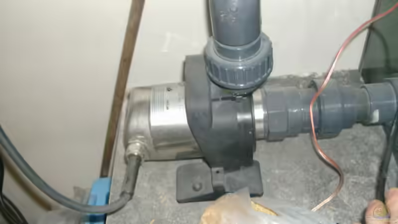 oase pumpe von Kai Wichert (6)