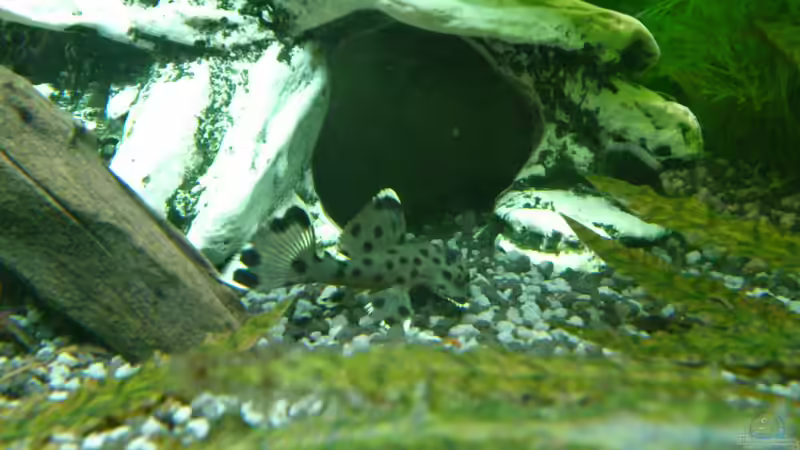 ob das wohl mal seine Hütte wird ??? von Stephan Groß (28)