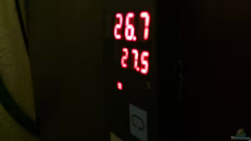 Oben die aktuelle temp.,unten die gewünschte.es muss bei beiden ca. -1°C gerechnet von Cichlid Power (36)