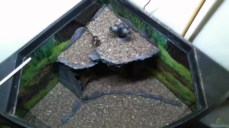 oben in der Ecke noch nachträglich feiner Sand bis zum Einlass eingebracht worden. von Dieter Pr (7)