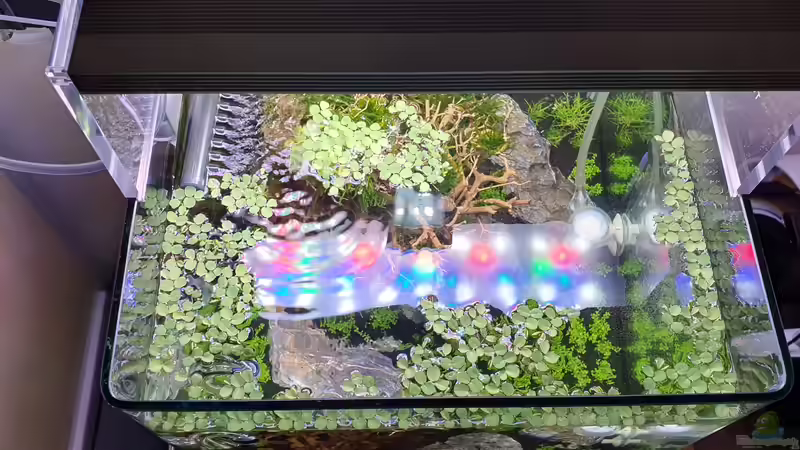 Oben mit RGB von Marco B. (13)