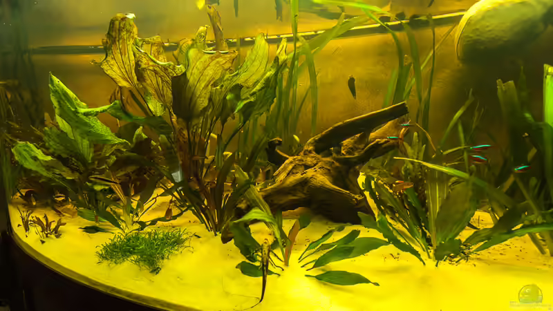 oben rechts im Bild der Torfsack von Thomas Gasthaus (3)