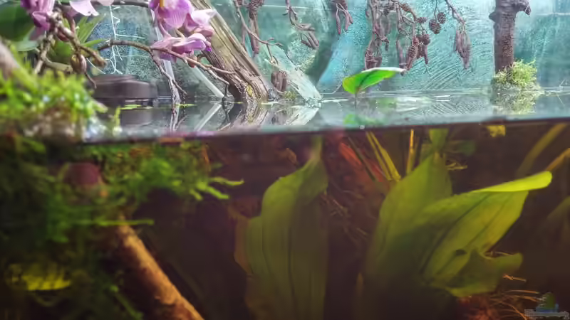 oben und unten von wid (6)