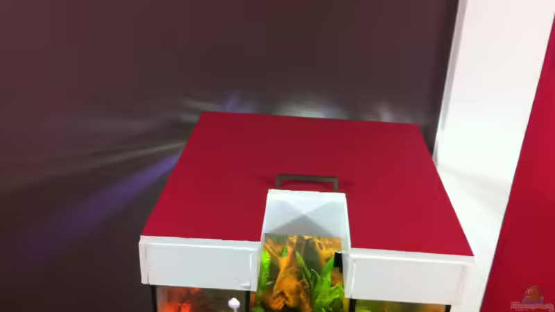 oben von GenesisEpoche (3)