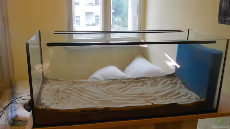 Obenauf eine dicke Lage Quarzsand. von miv (5)