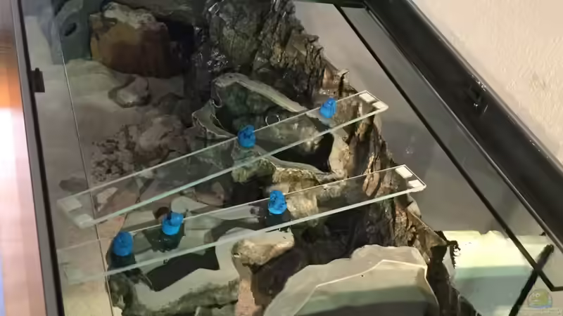 obere Kunststeinmodule mit Magneten an Glasstreifen fixiert von Steffi66 (25)