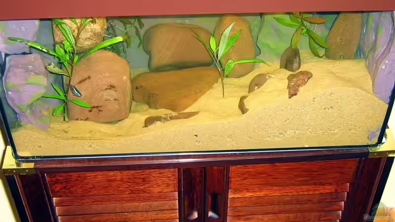 Obere Perspektive  von Dennis Klusmann (5)