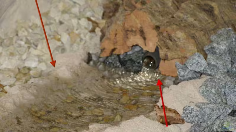 Oberer Bachlauf von SeLo (15)