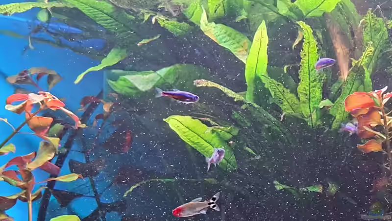 Oberer Bereich  von Stefan Müller (2)