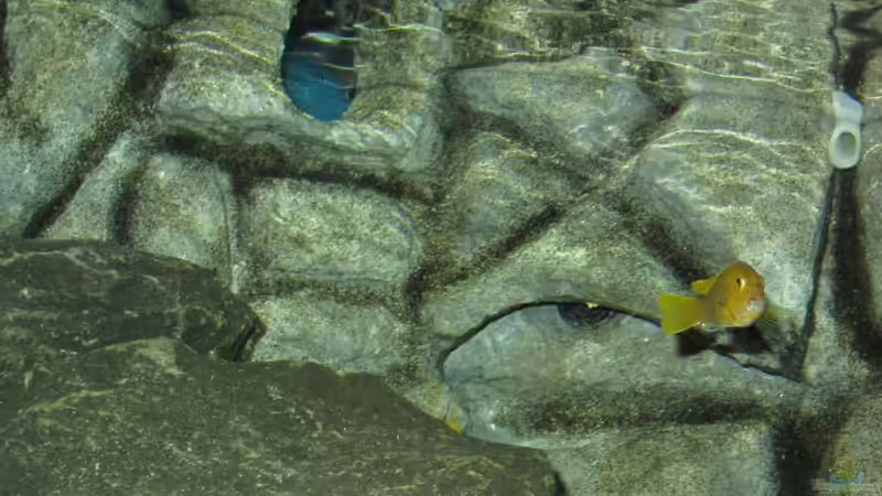 Oberer Eingang Felsendom 7.1.2013 von bossie1704 (52)