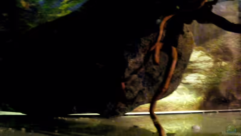 Oberes Becken...ohne Wasser von Falk (23)