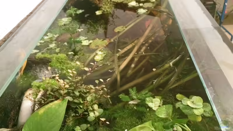 Oberfläche von Harald Kästner (13)