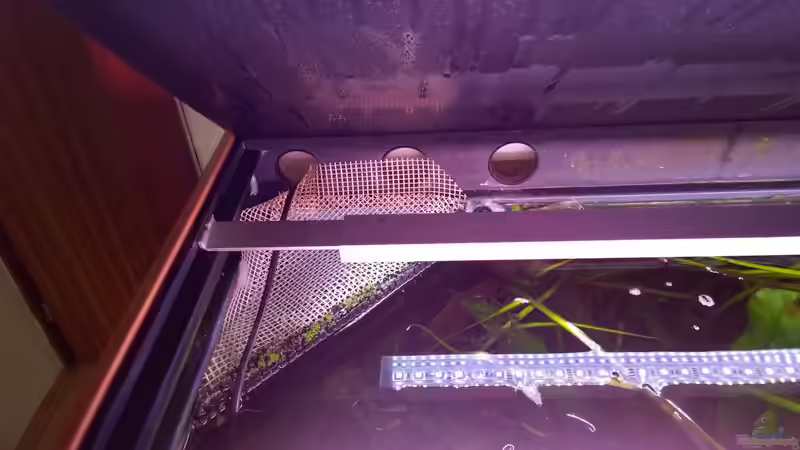 Oberflächen ablauf für den Filter von Hans-Walter Bandt (23)