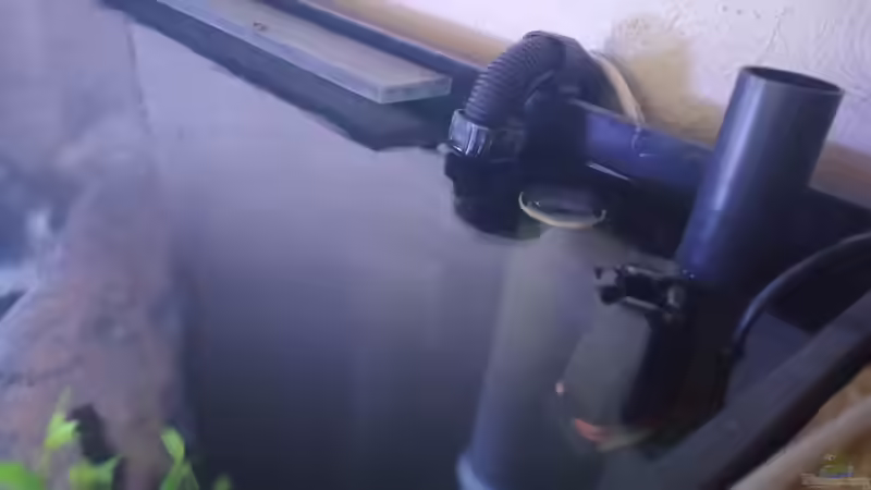 Oberflächenabsauger Eheim Skim 350 und der zukünftige ??berlauf für den automatischen von Uncas (20)