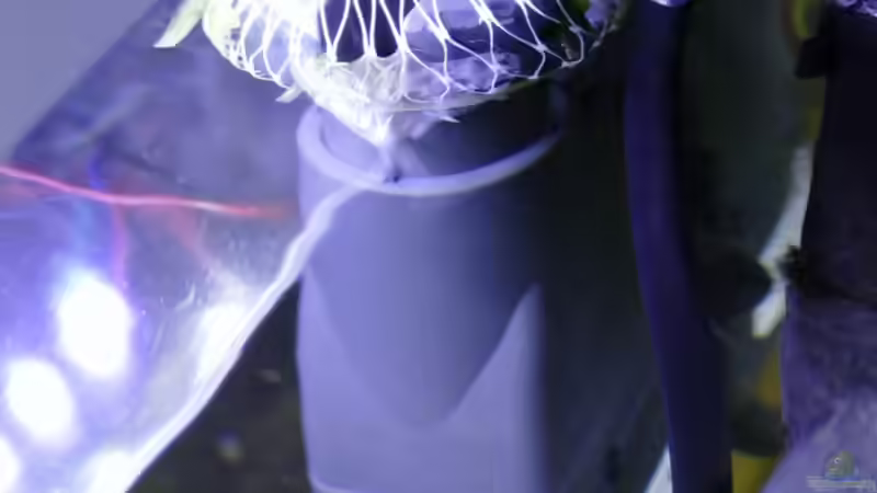 Oberflächenabsauger Eheim Skim 350 von Ravenclaw57 (39)