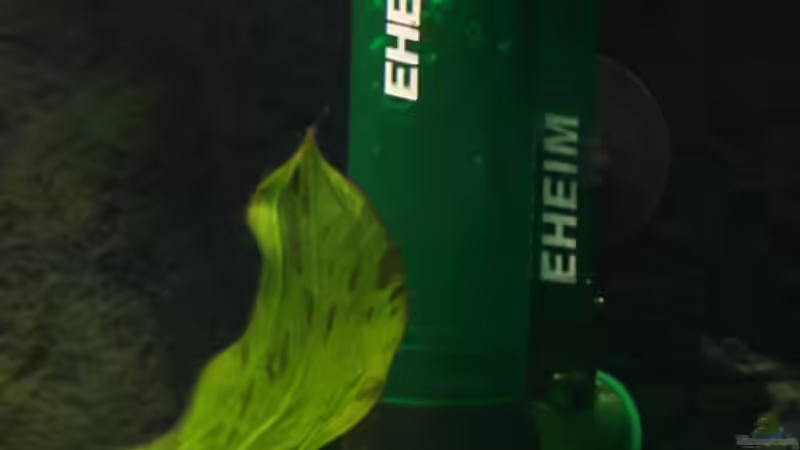 Oberflächenabsauger von Fischkopp (7)