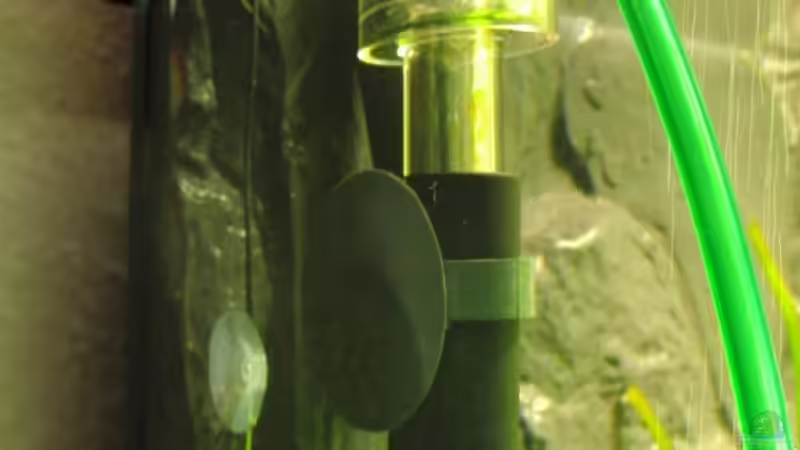 Oberflächenabsauger von Microsash (8)