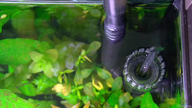 Oberflächenabsauger von Stefan S. (5)