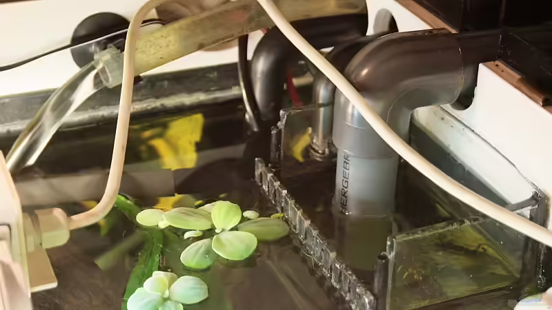 Oberflächenabzug eingebaut mit ??berlaufrohr. von Grobi (18)