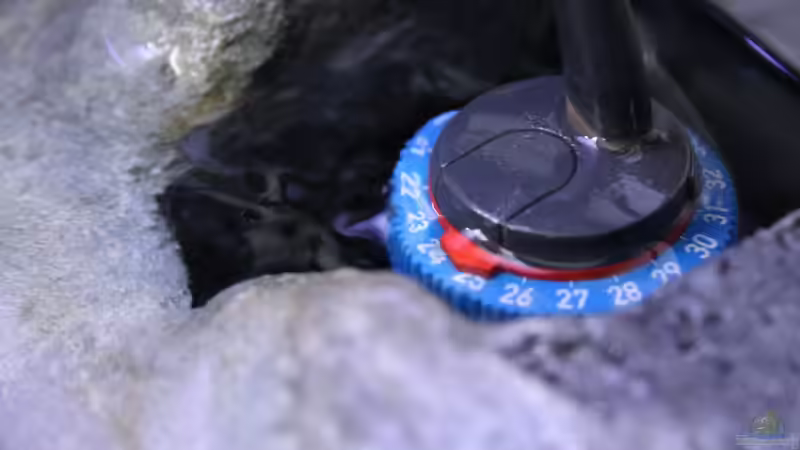 Oberflächenansaugung der Tunze von Cruiser Bruno (71)