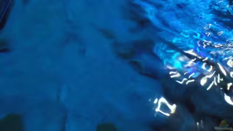 Oberflächenbewegung von MichaB (18)