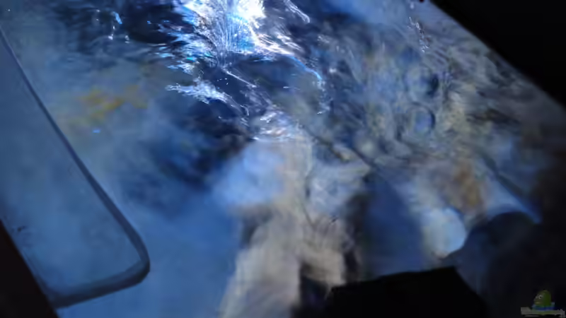 Oberflächenströmung durch die Voyager 4 von Sebastian O. (24)