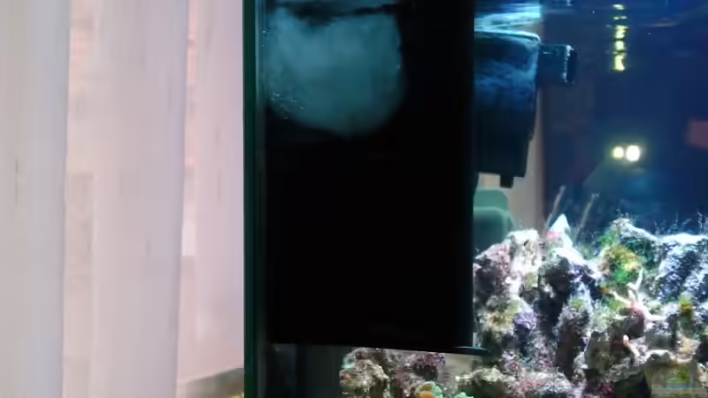 Oberflächenwasser wird angesaugt von Dirk Schäfer (16)