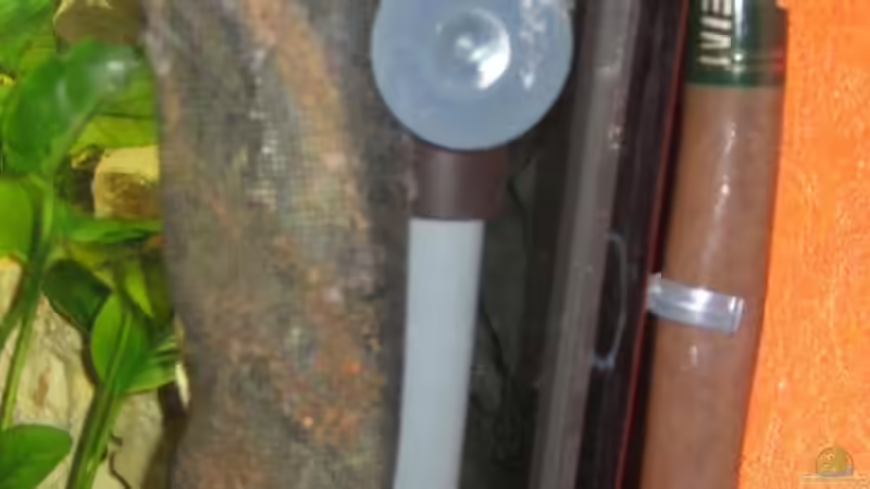 Oberfläschenabsauger jetzt hinter der Rückwand von MAGNUM (14)