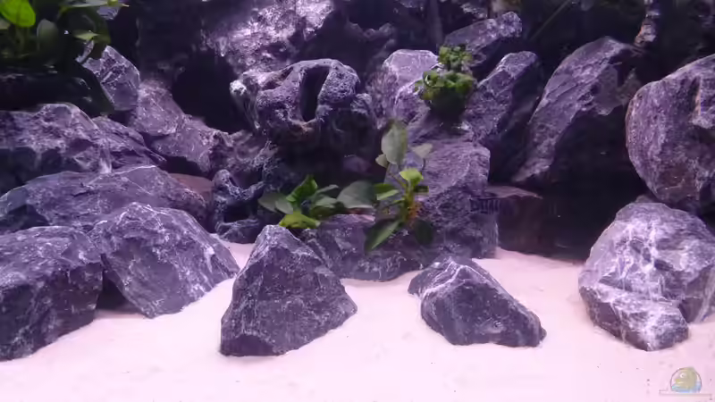 Obwohl hier ein künstlicher Stein versteckt ist fügt er sich gut ins Bild ein von EvilChicken (5)