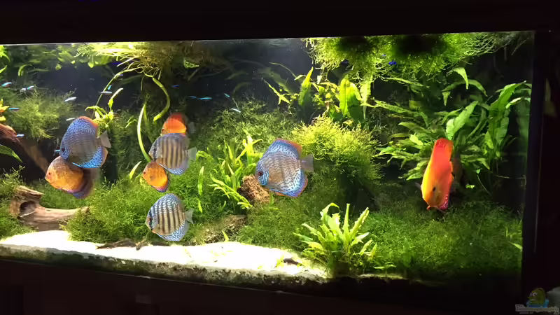 Oct.2016 von signo (47)