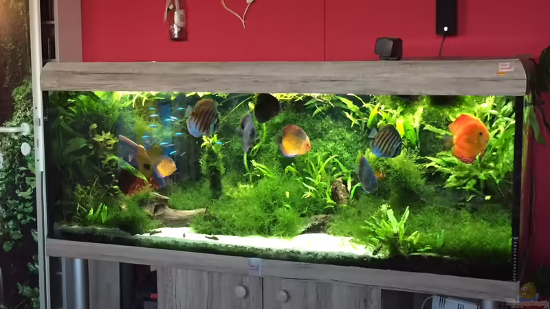 Oct.2016 von signo (48)