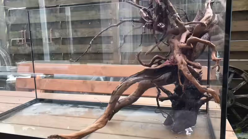 Oder so von Raven887 (17)