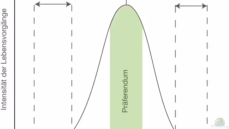 Ökologische Potenz: Wie flexibel Organismen wirklich sind