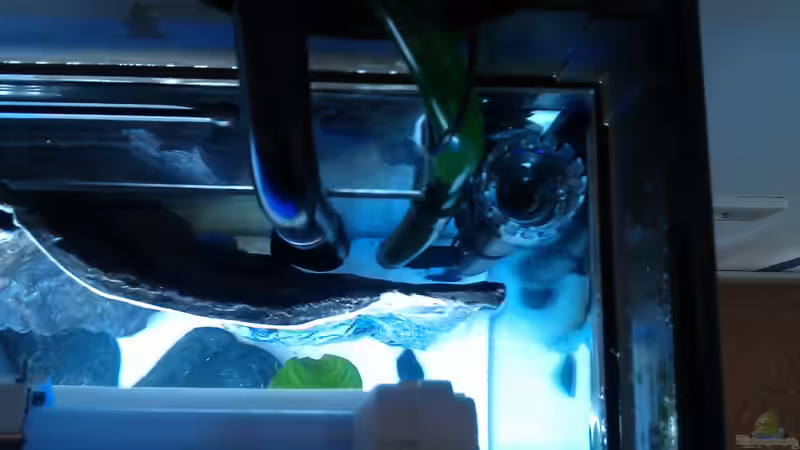 OFA und Filtereinlass von lohmi_5 (17)