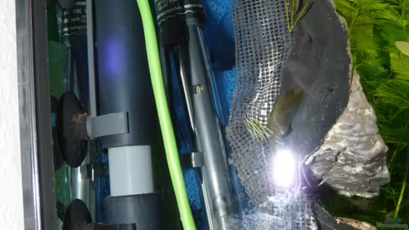 OFA und Heizung hinter der Rückwand von Zewana (18)