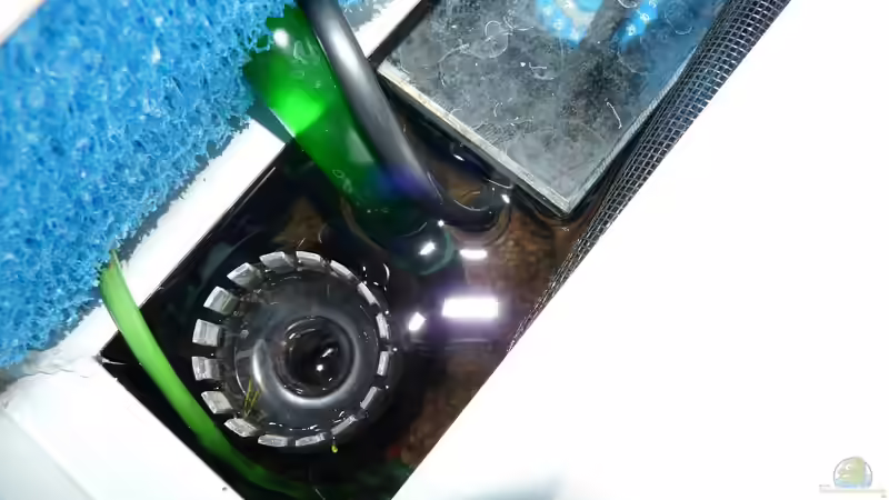 OFA von oben von Zewana (19)