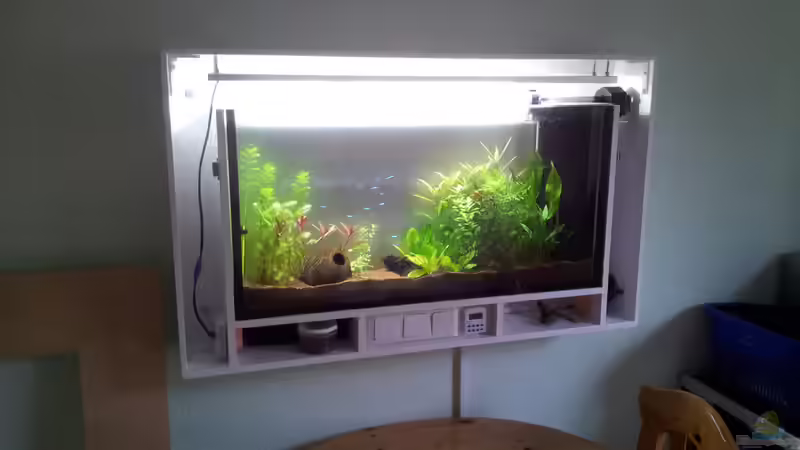 Offen von The BugZ (6)