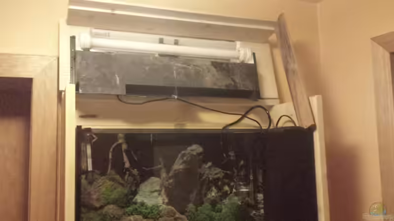 Offene Becken Alte ausfürung von Lucky3310 (30)