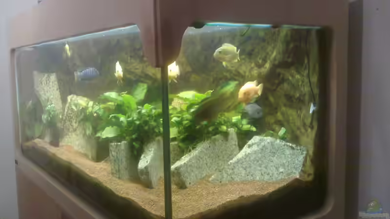 ´offene Ecke´ Eigenbau von Fischer vom Bodensee (2)