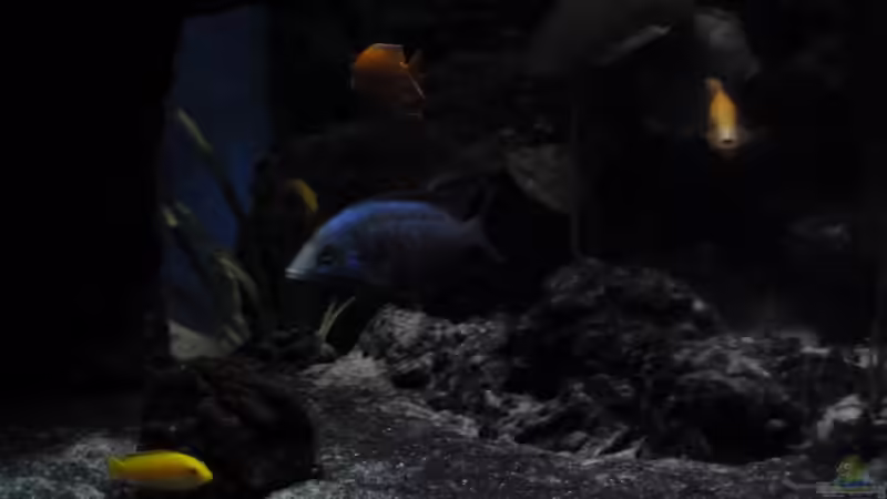 Oh, es wird dunkel von Couro (78)